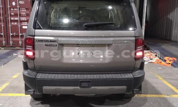 Acheter Neuf Voiture Toyota Prado Autre à Conakry, Conakry Acheter Neuf Voiture Toyota Prado Autre à Conakry, Conakry
