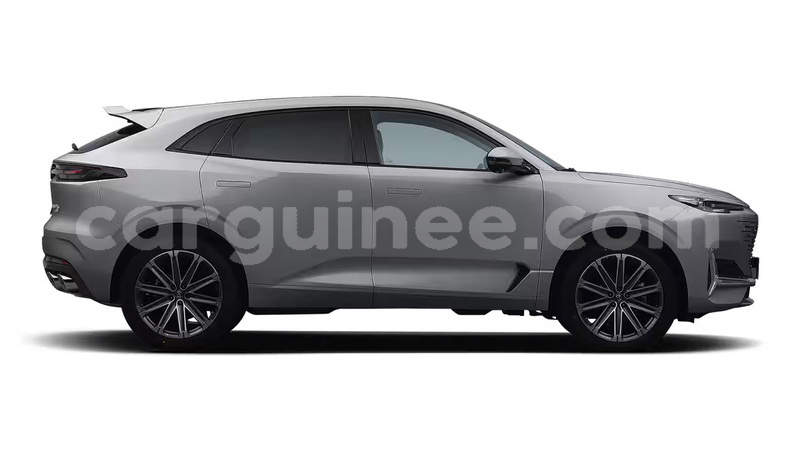 Big with watermark changan z shine mamou mamou 11102