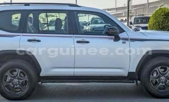 Acheter Occasion Voiture Toyota Land Cruiser Blanc à Conakry, Conakry