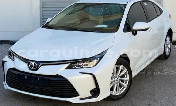 Acheter Occasion Voiture Toyota Corolla Blanc à Conakry, Conakry