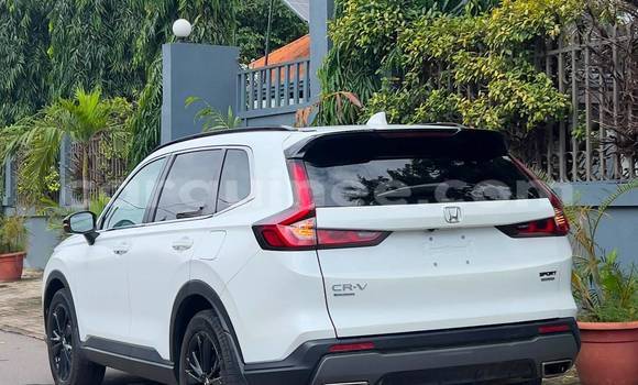 Acheter Import Voiture Honda CR–V Blanc à Conakry, Conakry Acheter Import Voiture Honda CR–V Blanc à Conakry, Conakry