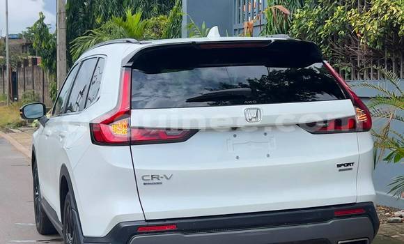 Acheter Import Voiture Honda CR–V Blanc à Conakry, Conakry Acheter Import Voiture Honda CR–V Blanc à Conakry, Conakry