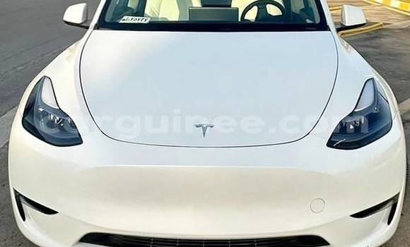Acheter Occasion Voiture Tesla Model X Blanc à Conakry, Conakry