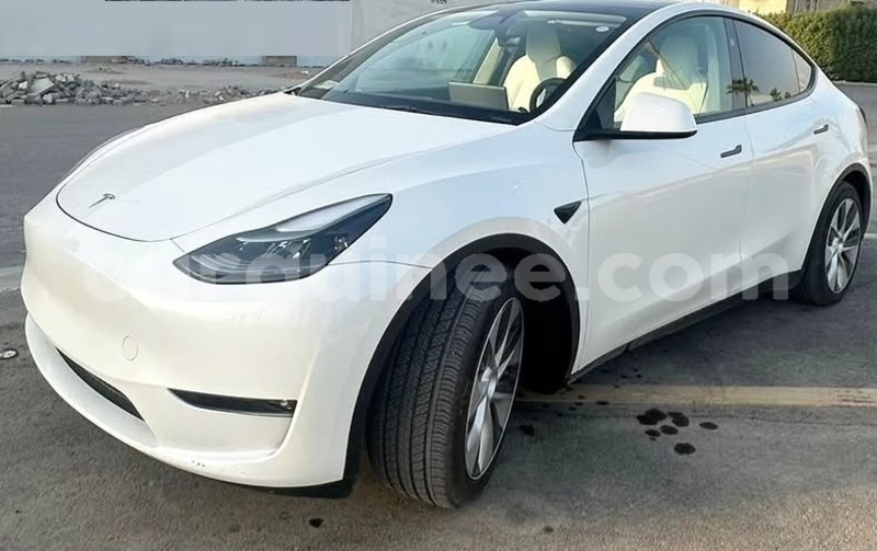 Big with watermark tesla model x conakry conakry 11128