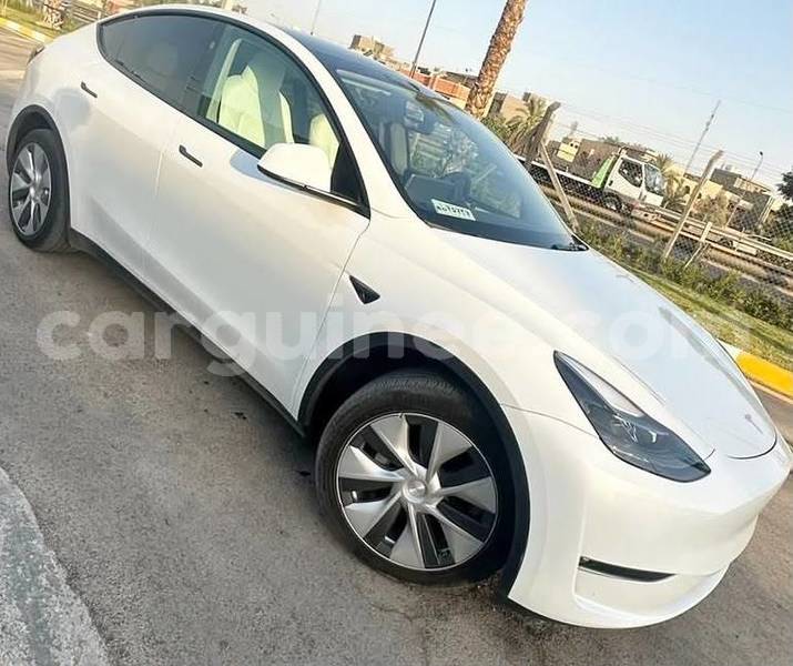 Big with watermark tesla model x conakry conakry 11128