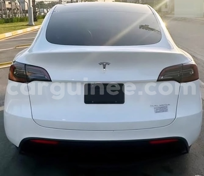 Big with watermark tesla model x conakry conakry 11128