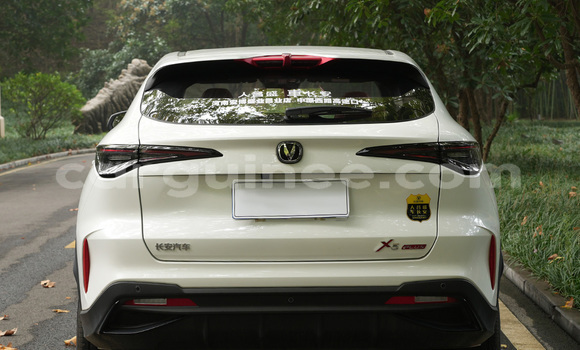 Buy New Changan Raeton Green Car in Labe in Labe Buy New Changan Raeton Green Car in Labe in Labe