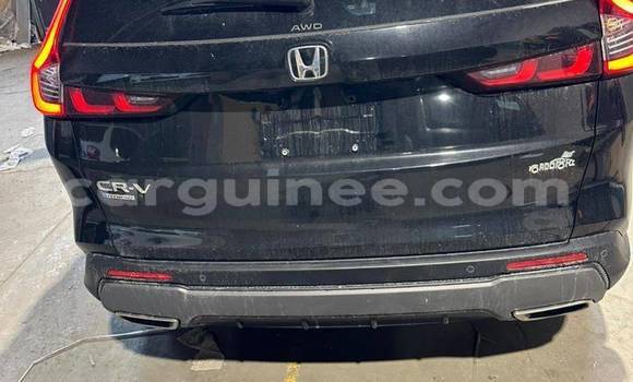 Acheter Import Voiture Honda CR–V Autre à Conakry, Conakry Acheter Import Voiture Honda CR–V Autre à Conakry, Conakry