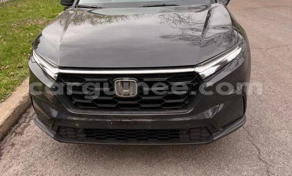 Buy Import Honda CR–V Other Car in Conakry in Conakry