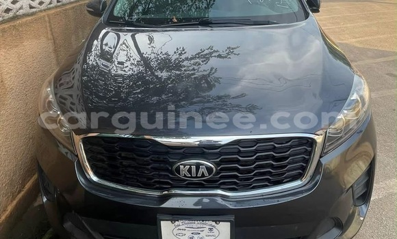 Acheter Import Voiture Kia Sorento Autre à Conakry, Conakry Acheter Import Voiture Kia Sorento Autre à Conakry, Conakry