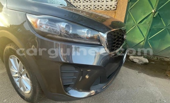 Acheter Import Voiture Kia Sorento Autre à Conakry, Conakry Acheter Import Voiture Kia Sorento Autre à Conakry, Conakry
