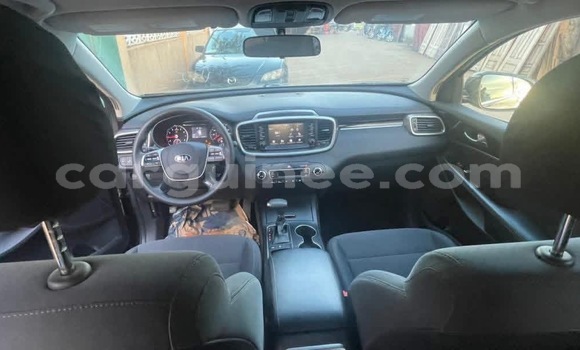 Acheter Import Voiture Kia Sorento Autre à Conakry, Conakry Acheter Import Voiture Kia Sorento Autre à Conakry, Conakry