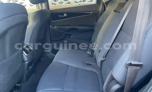 Acheter Import Voiture Kia Sorento Autre à Conakry, Conakry Acheter Import Voiture Kia Sorento Autre à Conakry, Conakry
