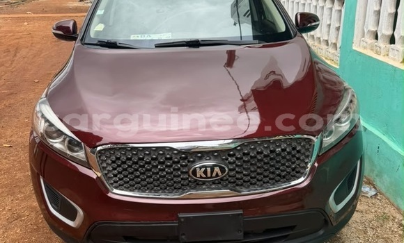 Acheter Occasion Voiture Kia Sorento Autre à Conakry, Conakry Acheter Occasion Voiture Kia Sorento Autre à Conakry, Conakry