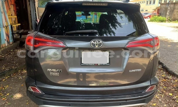 Acheter Occasion Voiture Toyota RAV4 Autre à Conakry, Conakry