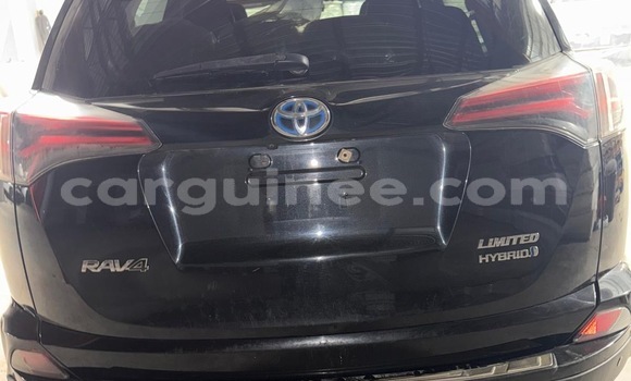 Buy Import Toyota RAV4 Other Car in Conakry in Conakry