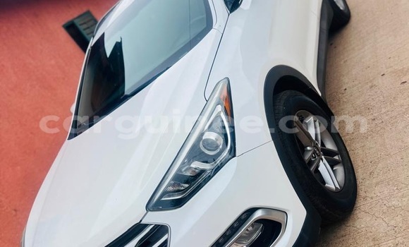 Acheter Import Voiture Hyundai Santa Fe Blanc à Conakry, Conakry Acheter Import Voiture Hyundai Santa Fe Blanc à Conakry, Conakry
