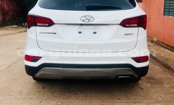 Acheter Import Voiture Hyundai Santa Fe Blanc à Conakry, Conakry Acheter Import Voiture Hyundai Santa Fe Blanc à Conakry, Conakry