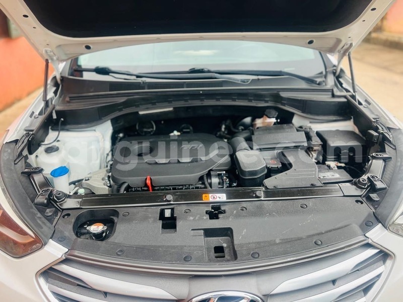 Big with watermark hyundai santa fe conakry conakry 11254