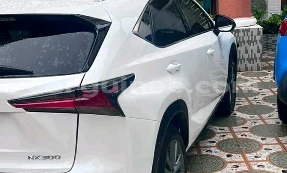 Acheter Occasion Voiture Lexus NX Blanc à Conakry, Conakry Acheter Occasion Voiture Lexus NX Blanc à Conakry, Conakry