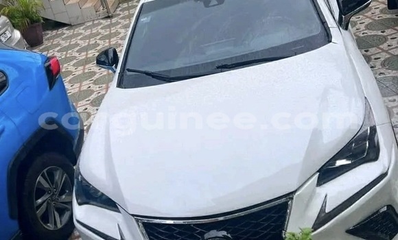Acheter Occasion Voiture Lexus NX Blanc à Conakry, Conakry Acheter Occasion Voiture Lexus NX Blanc à Conakry, Conakry