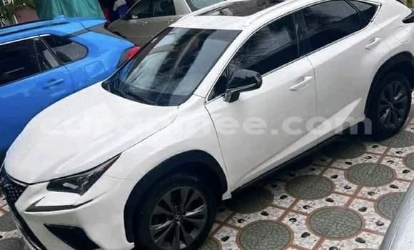 Acheter Occasion Voiture Lexus NX Blanc à Conakry, Conakry Acheter Occasion Voiture Lexus NX Blanc à Conakry, Conakry