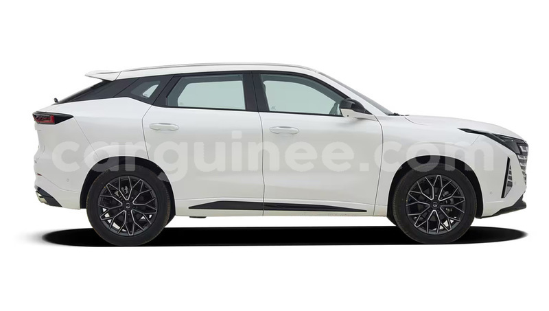 Big with watermark changan raeton siguiri siguiri 11267