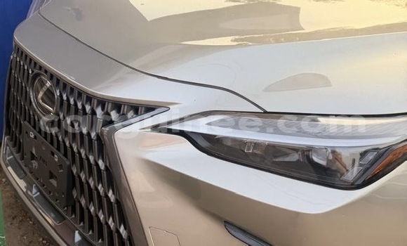 Acheter Import Voiture Lexus NX Autre à Conakry, Conakry