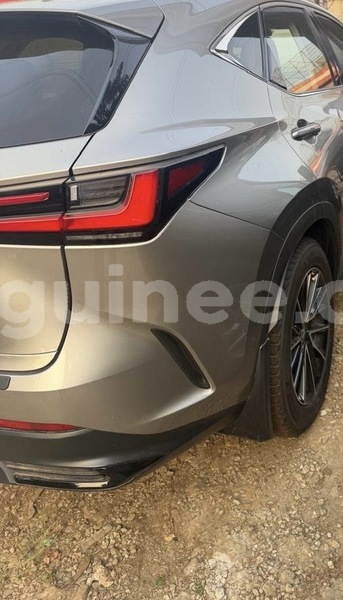 Big with watermark lexus nx conakry conakry 11288