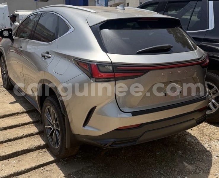 Big with watermark lexus nx conakry conakry 11288