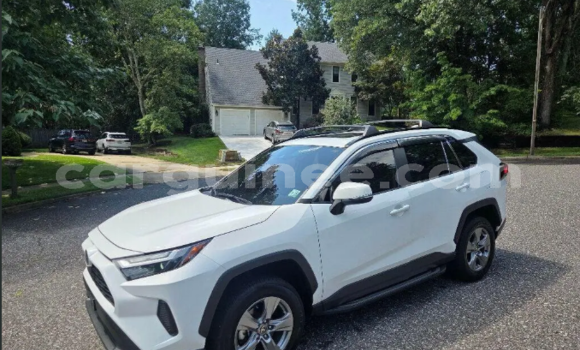 Buy Used Toyota RAV4 White Car in Dalaba in Dalaba