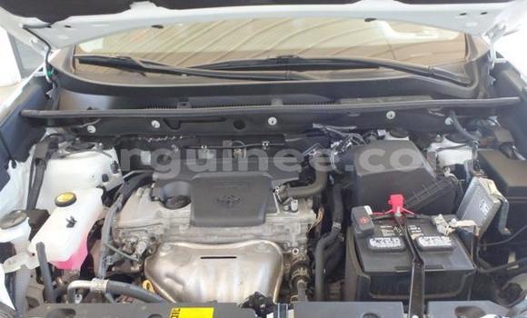 Buy Used Toyota RAV4 Green Car in Conakry in Conakry Buy Used Toyota RAV4 Green Car in Conakry in Conakry