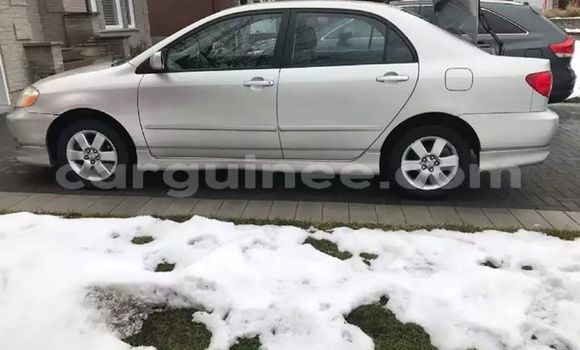 Acheter Occasion Voiture Toyota Corolla Gris à Conakry, Conakry Acheter Occasion Voiture Toyota Corolla Gris à Conakry, Conakry