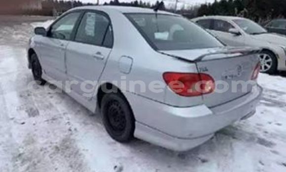 Acheter Occasion Voiture Toyota Corolla Gris à Conakry, Conakry Acheter Occasion Voiture Toyota Corolla Gris à Conakry, Conakry