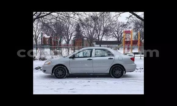 Acheter Occasion Voiture Toyota Corolla Gris à Conakry, Conakry Acheter Occasion Voiture Toyota Corolla Gris à Conakry, Conakry