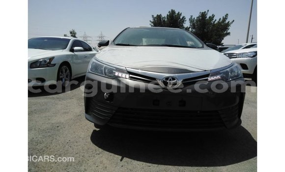 Buy Import Toyota Corolla Other Car in Import - Dubai in Conakry Buy Import Toyota Corolla Other Car in Import - Dubai in Conakry