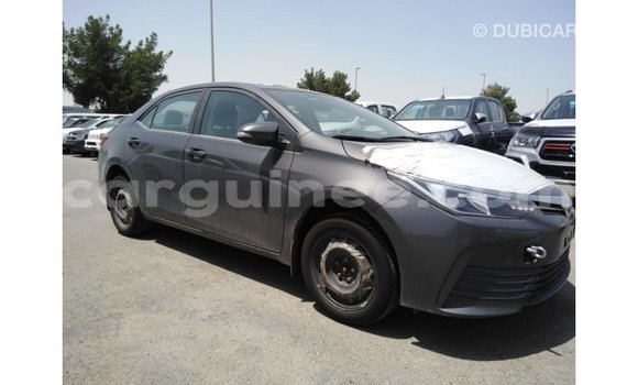 Buy Import Toyota Corolla Other Car in Import - Dubai in Conakry Buy Import Toyota Corolla Other Car in Import - Dubai in Conakry