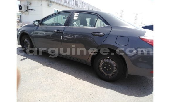 Buy Import Toyota Corolla Other Car in Import - Dubai in Conakry Buy Import Toyota Corolla Other Car in Import - Dubai in Conakry